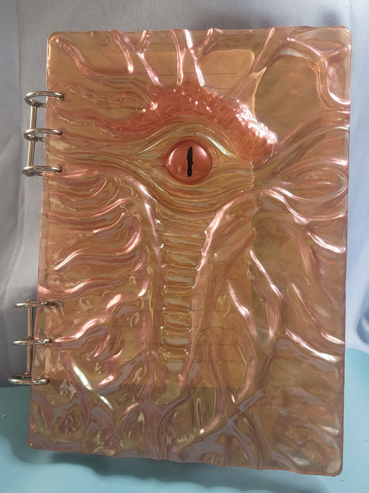 Dragon eye journal